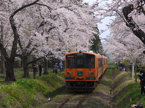 津軽鉄道（春頃撮影）